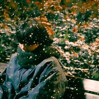 berry meet「月が綺麗だって」配信ジャケット