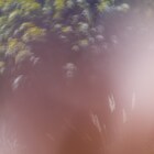 STUTSと北里彰久のコラボ曲、なんでもない日々を彩ってくれることへのワクワク感をイメージ