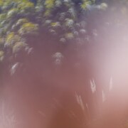 STUTSと北里彰久のコラボ曲、なんでもない日々を彩ってくれることへのワクワク感をイメージ