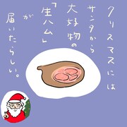 クリスマスプレゼントは、なんと食品！