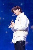 ヨチ（POW）（撮影：佐藤薫）