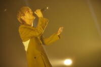 向井太一（撮影：鳥居洋介）