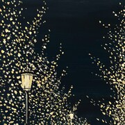 離婚伝説「グリン・グリーンレッド」ジャケット