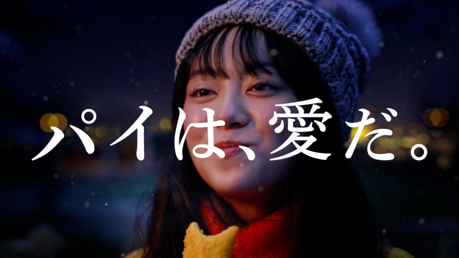 マクドナルドCM「ビーフシチューパイ パイをどーこー云うの？」編より。
