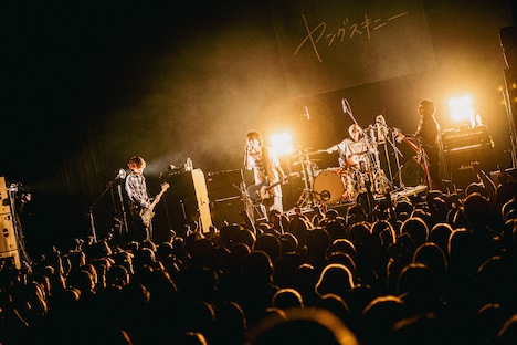 「“老いてもヤングスキニーツアーvol.2” vol.2あったんだ編」Zepp Shinjuku公演の様子。（撮影：うえむらすばる）