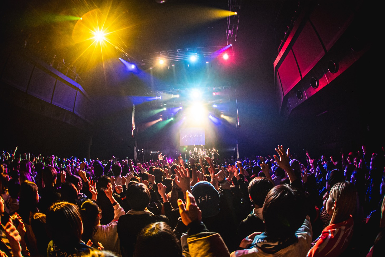 「“老いてもヤングスキニーツアーvol.2” vol.2あったんだ編」Zepp Shinjuku公演の様子。（撮影：うえむらすばる）