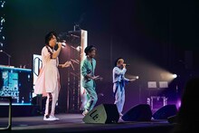 ソナーポケット