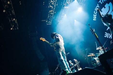 ネクライトーキー(撮影:垂水佳菜)