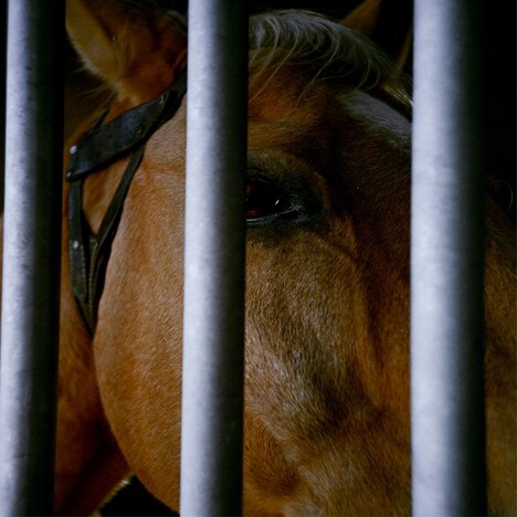 ODD Foot Works「あなたの走馬灯に出れたら」配信ジャケット