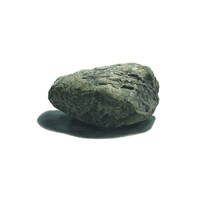 家主「石のような自由」ジャケット