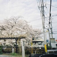 澤田空海理「遺書」配信ジャケット