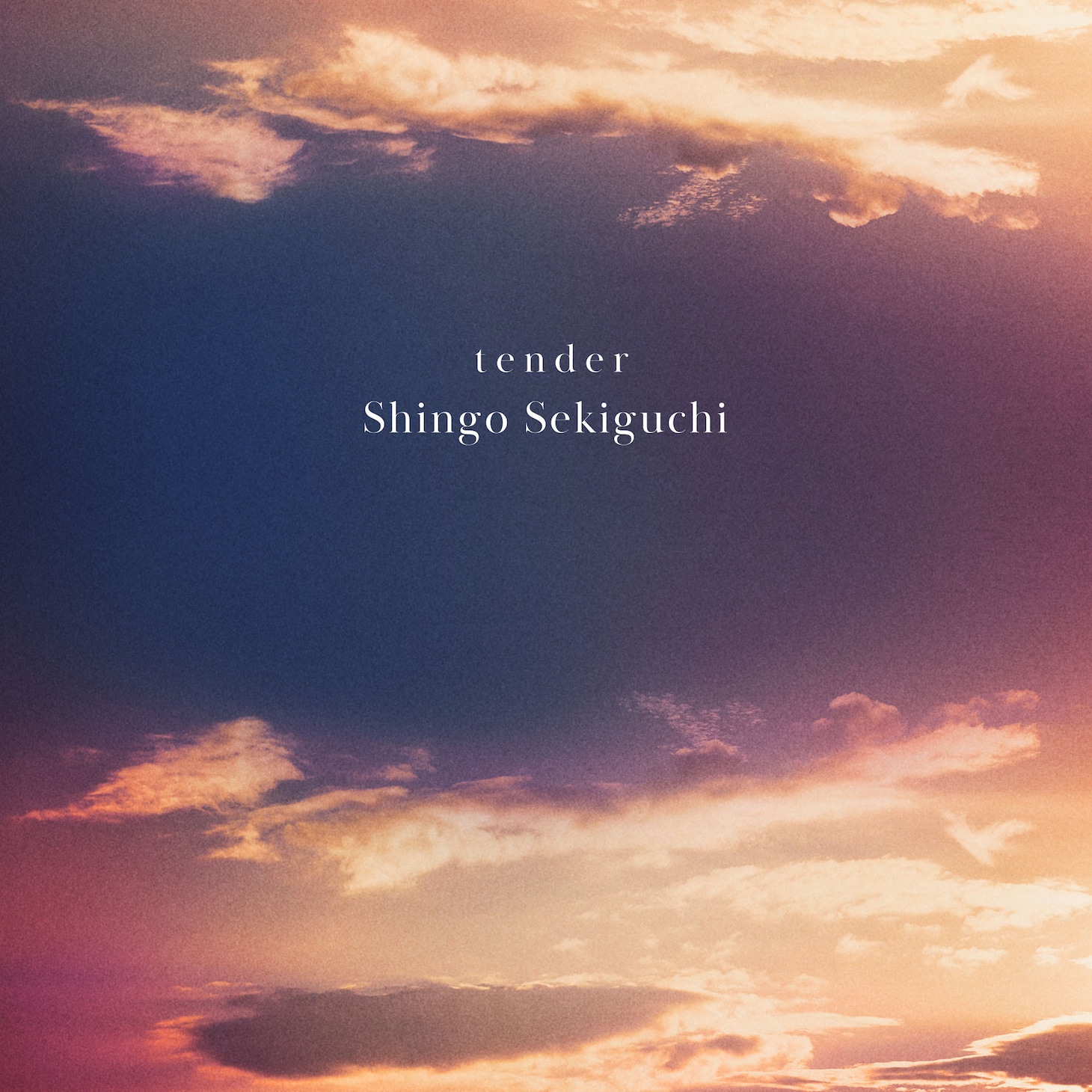 関口シンゴ「tender」ジャケット