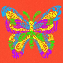 秋山黄色「SCRAP BOOOO」ジャケット