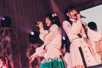 真っ白なキャンバス「一輪咲いても僕は僕」の様子。（撮影：真島洸）