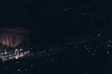 真っ白なキャンバス「一輪咲いても僕は僕」の様子。（撮影：真島洸）