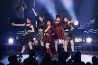 フィロソフィーのダンス「Greatest 5 Party 2023」最終公演の様子。（提供：ソニー・ミュージックレーベルズ）