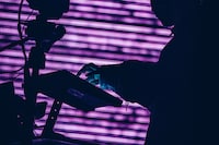 Misumi（撮影：日吉“JP”純平）