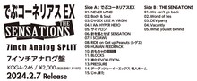 でぶコーネリアスEX×THE SENSATIONS「7inch Analog SPLIT」告知ビジュアル