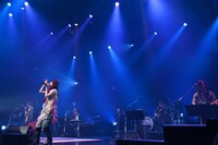 「まやまにあ-Level.8-」の様子。