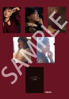 薬師丸ひろ子「Tree」VICTOR ONLINE STORE限定盤 クリアファイル絵柄