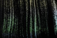 坂本龍一＋真鍋大度「センシング・ストリームズ2023―不可視・不可聴」（ICCヴァージョン）のワンシーン。