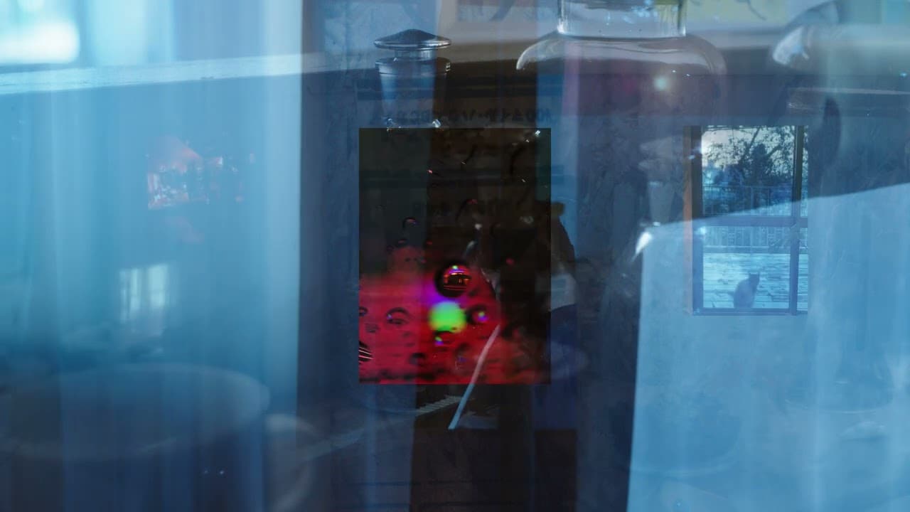 蓮沼執太“新たな窓”を映した「one window」MV