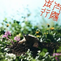 ズーカラデル「太陽歩行」ジャケット