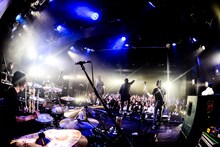 THE BACK HORN「25th Anniversary『KYO-MEIワンマンツアー』～共鳴喝采～」宮城・Rensa公演の様子。