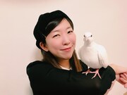 ぽっぽa.k.a.かーりん