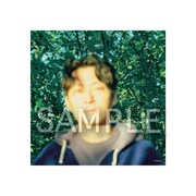 星野源「光の跡 / 生命体」購入特典メガジャケ