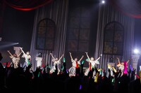 豆柴の大群（Photo by sotobayashi kenta）