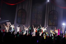 豆柴の大群（Photo by sotobayashi kenta）