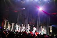 豆柴の大群（Photo by sotobayashi kenta）