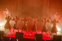 豆柴の大群（Photo by sotobayashi kenta）