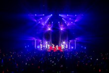 豆柴の大群（Photo by sotobayashi kenta）