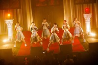 豆柴の大群（Photo by sotobayashi kenta）