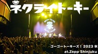 ネクライトーキー「bloom」ライブ映像より。