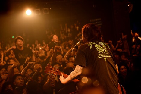 Ken Yokoyama（撮影：半田安政）