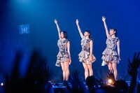 Perfume（撮影：木村泰之）