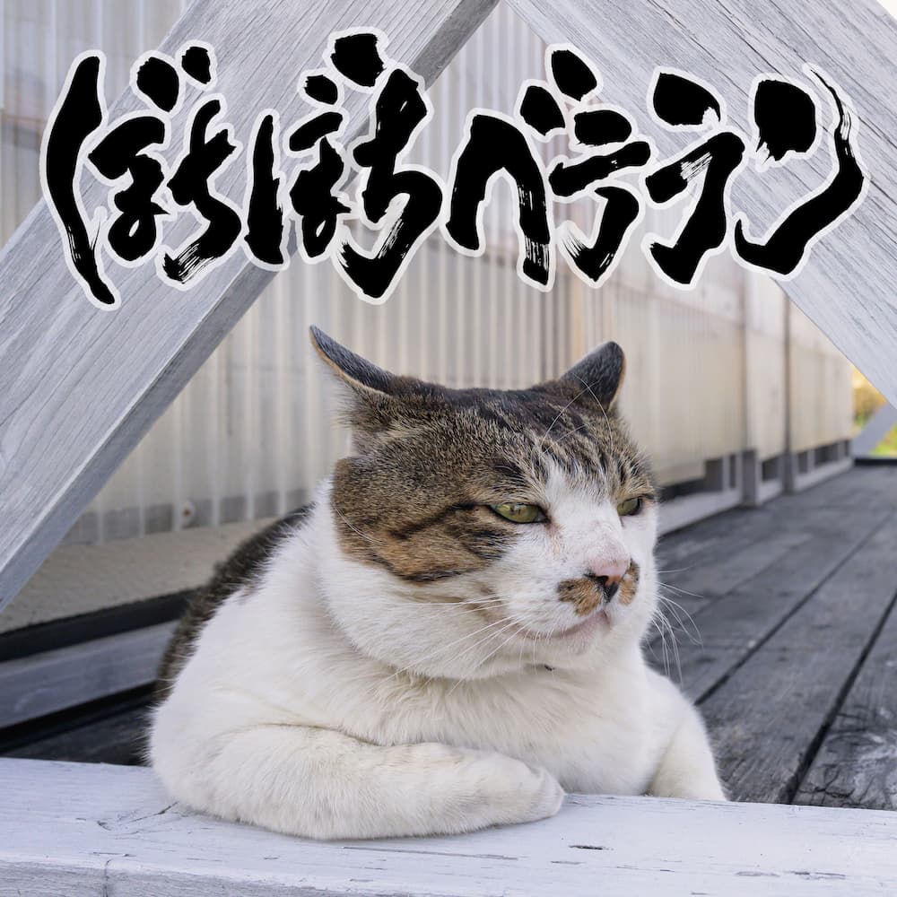打首獄門同好会「ぼちぼちベテラン」ジャケット