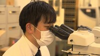 「テナーニテナーニ」より。(c)NHK