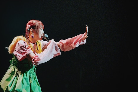 halca（Photo by fukumaru）