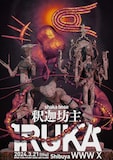 釈迦坊主「IRUKA」フライヤー