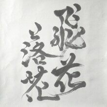 Cocco「飛花落花」ジャケット