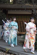 祈祷を終えて本殿から姿を現した乃木坂46新成人メンバー。