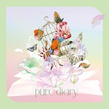 衛星とカラテア「pure diary.」ジャケット