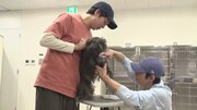 「嗚呼!!みんなの動物園」より櫻井翔と相葉雅紀。(c)日本テレビ