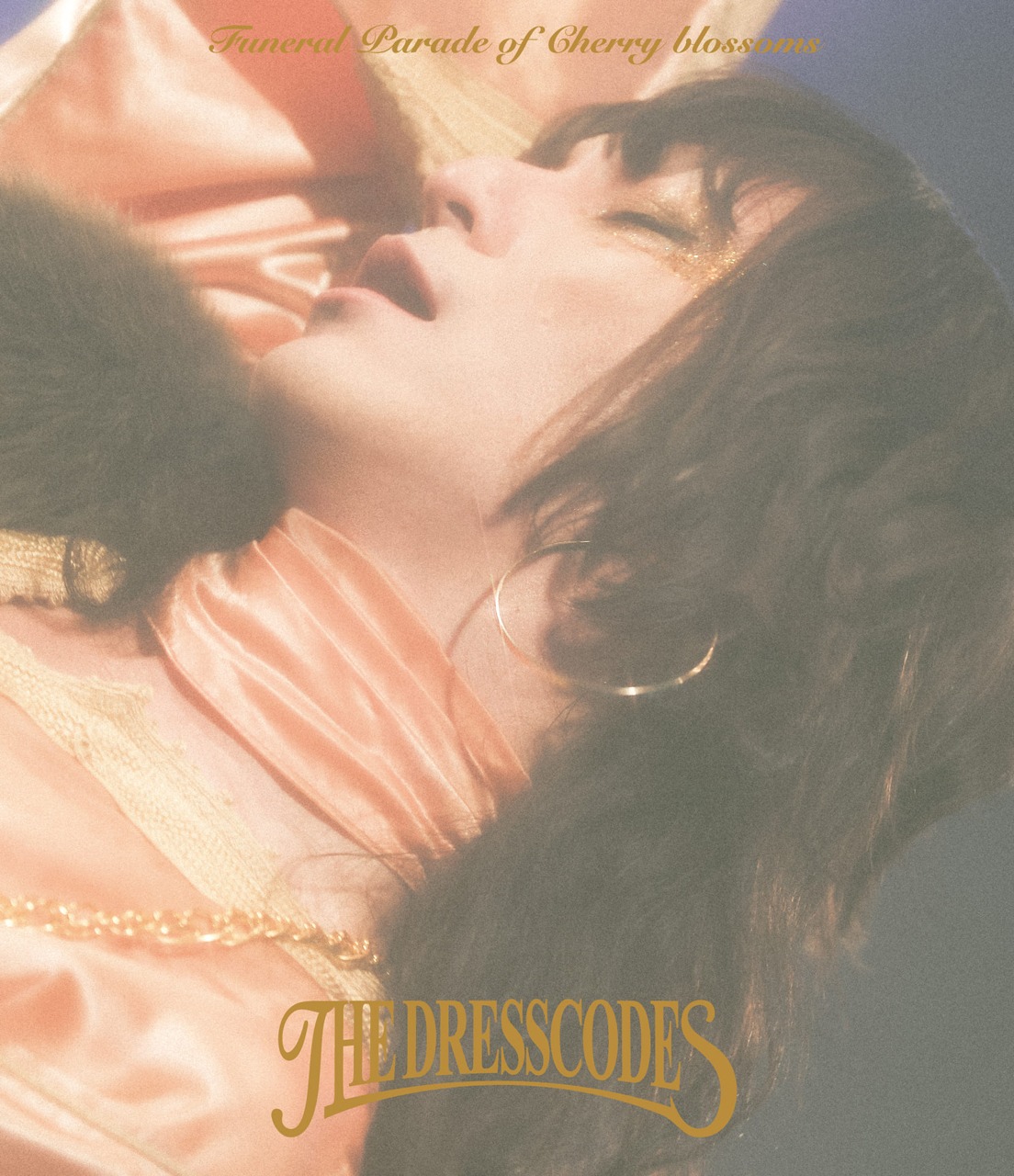 ドレスコーズ「the dresscodes TOUR2023『散花奏奏』Live」Blu-ray盤ジャケット