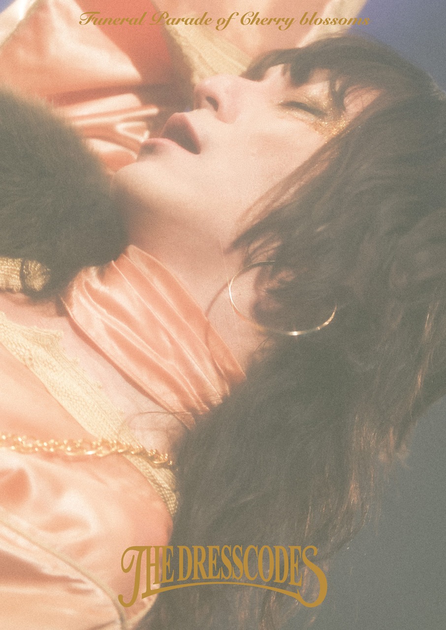 ドレスコーズ「the dresscodes TOUR2023『散花奏奏』Live」DVD盤ジャケット
