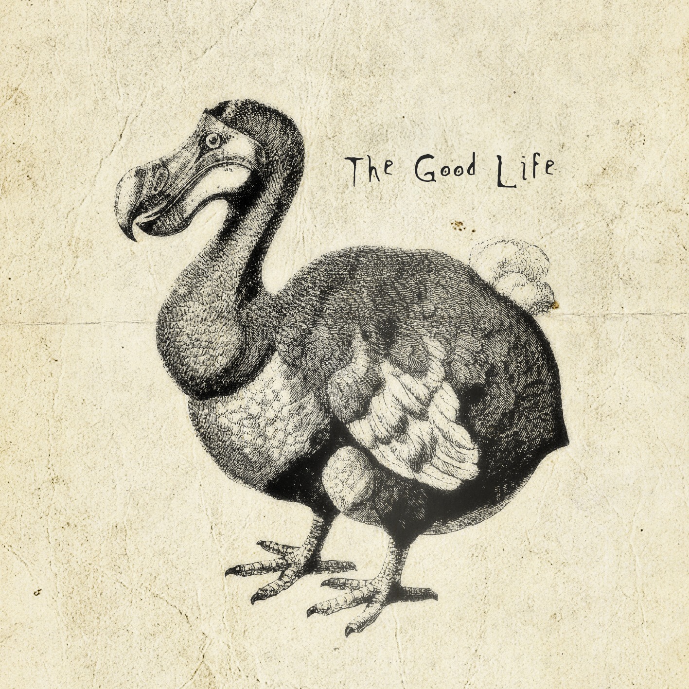 MONKEY MAJIK「The Good Life」配信ジャケット